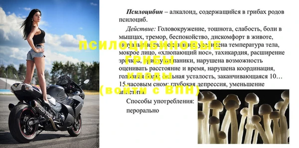 apvp Алзамай