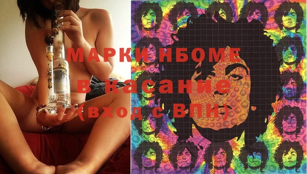 apvp Алзамай