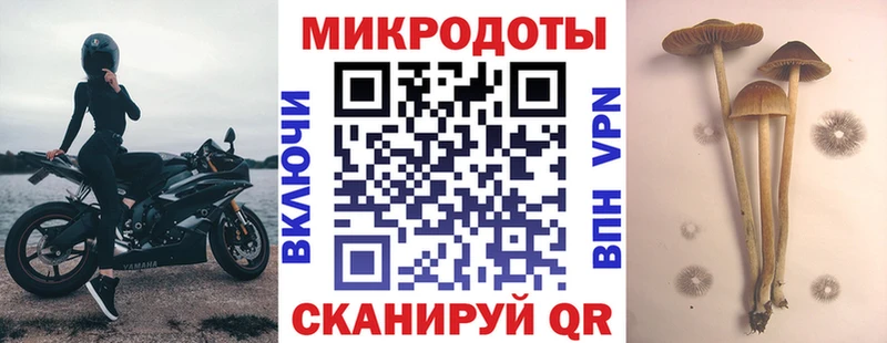 Псилоцибиновые грибы ЛСД  ссылка на мегу онион  Йошкар-Ола 