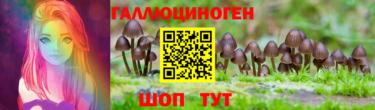 наркошоп  Галлюциногенные грибы Psilocybine cubensis  Вход с VPN  Йошкар-Ола 
